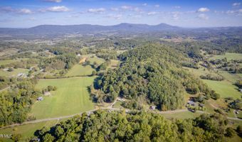 Davis Valley Road lot 8 & 11, Afton, TN 37616