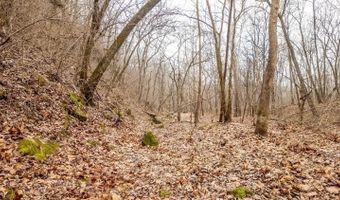 County Road 19-A, Alton, MO 65606