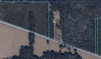 Tbd SW COUNTY ROAD 346, Archer, FL 32618