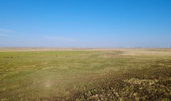 Oldham County Grass +/- 1 478, Adrian, TX 79001