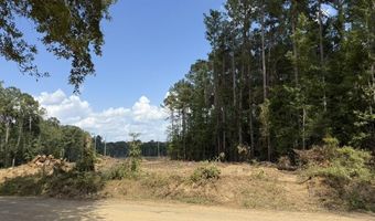 SE Cole Drive, Bogue Chitto, MS 39629