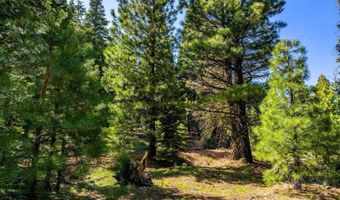 8735 Bering Rd, Alturas, CA 96101