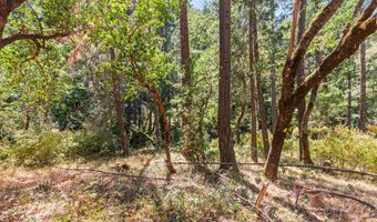 0 Hogan Rd, Applegate, OR 97530