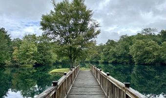 9953 Gravel Hill Rd, Baconton, GA 31705