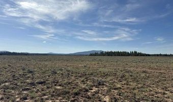 Oregon Pines Road, Beatty, OR 97621