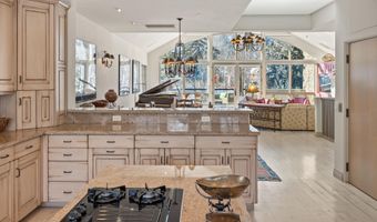 990 E Hopkins Ave, Aspen, CO 81611