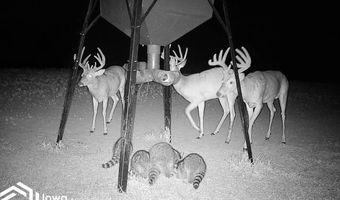 560 Th Ave, Albia, IA 52531