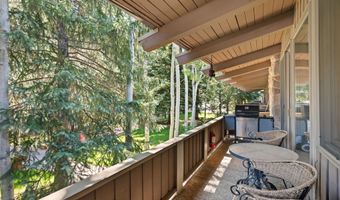 700 Ute Ave 213, Aspen, CO 81611
