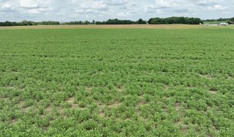 290 CR, Asbury, MO 64832