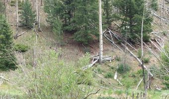 Lots 1-4 block 4, Bonanza, CO 81155