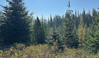 Tract 6 USFS 2294, Clark Fork, ID 83811