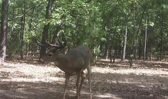187602 N 4138 Rd, Antlers, OK 74523