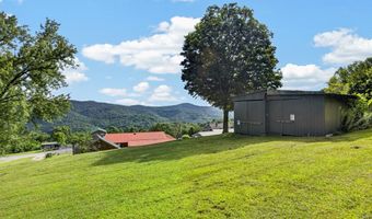 955 Livingston Boat Dock Rd, Allons, TN 38541