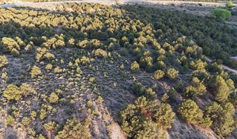 Unk Sandia Canyon Rd, Arroyo Hondo, NM 87513