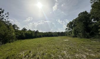81 1+/- AC Old River Rd, Baker, FL 32531