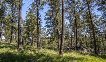 87 Rock Ridge Way, Bigfork, MT 59911