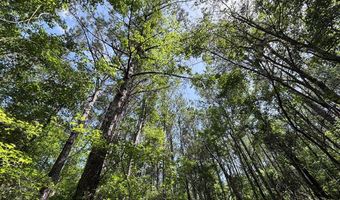 North Palestine Road, Baldwyn, MS 38824