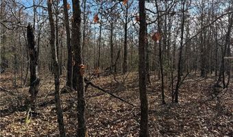 Tract 2 Rural Atoka, Atoka, OK 74525