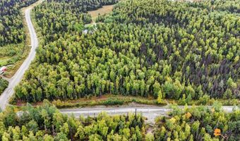 6092 S Purinton Pkwy, Big Lake, AK 99623