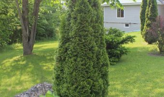 100 Ledge Ln, Bristol, VT 05443