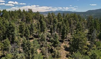 97 Zia Rd, Angel Fire, NM 87710