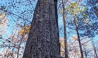 BLACKJACK ROAD lot 0, Argo, AL 35173