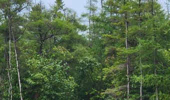 V/L 40AC Hamilton Road, Alpena, MI 49707