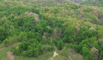 1271 A Tunnel Ridge Rd, Argillite, KY 41121