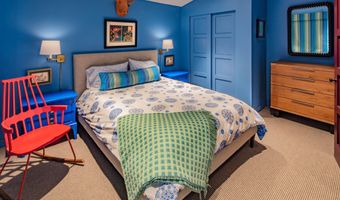 614 W North St, Aspen, CO 81611