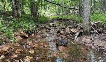 Tract 3 Hidden Valley, Annapolis, MO 63628