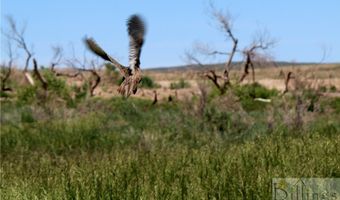 Stagecoach Spur W lot 935-3, Belfry, MT 59008