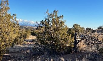 9 Acres Dulce St, Abiquiu, NM 87510