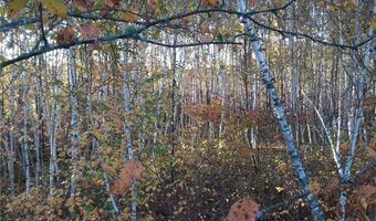 31538 County 23, Akeley, MN 56433