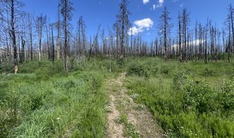 2493 Greer Rd, Bellvue, CO 80512