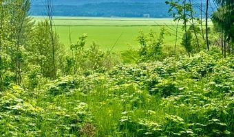 2868 Pine Island Rd, Bonners Ferry, ID 83805