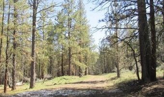 Partin Drive 2, Beatty, OR 97621