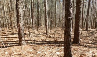 Tbd Oakland Avenue, Asheboro, NC 27205