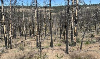 Wren Dr lot 11, Bonanza, OR 97623