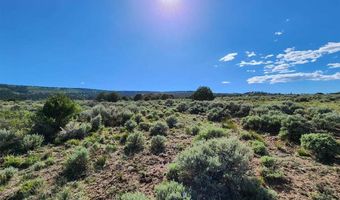 Conejos River Trails lot 10, Antonito, CO 81120