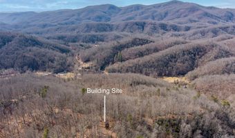 35 Lower Sand Branch Rd, Black Mountain, NC 28711