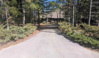 6348 Jackpine Trl, Alger, MI 48610