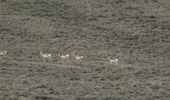 Deadman Creek Road, Bridger, MT 59014