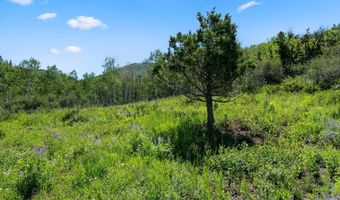 Trentaz Drive, Aspen, CO 81611