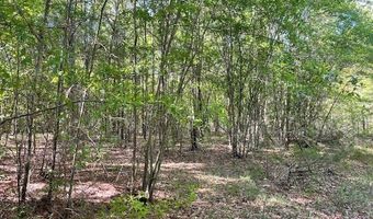 10 35 Cannafax, Barnesville, GA 30204