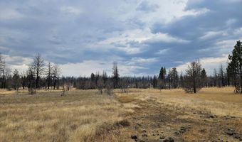 Parazoo Trail Lot 15, Bly, OR 97622