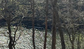County Road 3782 lot 11, Arley, AL 35541