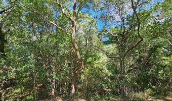 17 Col William Rhett Trl Lot 17, Bald Head Island, NC 28461
