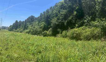 HIGHWAY 431 lot 0, Alexandria, AL 36250