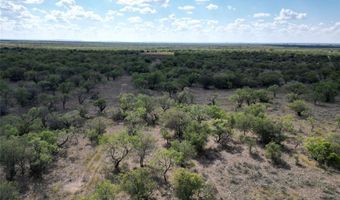 Tbd TBA Cnty Road 100, Abilene, TX 79601