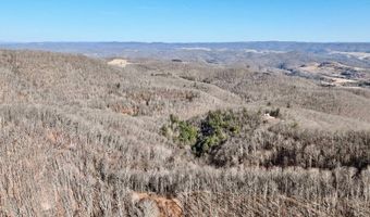 3530 Hamilton Ridge Rd, Alderson, WV 24910